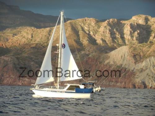 Morgan 62 scheda tecnica e recensioni